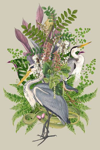 Blauwe Reiger in het Groen van Behindthegray