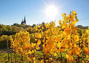 Goldener Herbst in Kiedrich im Rheingau van Christian Müringer