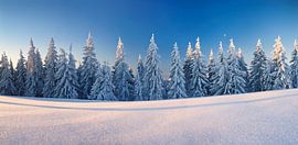 Winterlandschaft auf dem Belchen, Schwarzwald von Markus Lange
