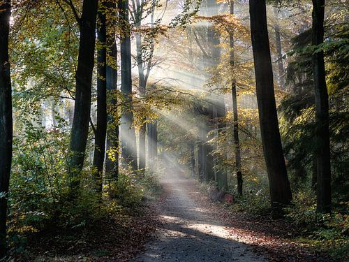 Herfst 2021 - 1