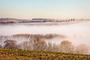 Hügelland im Nebel