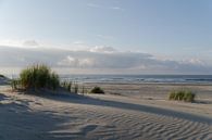 Sunset van Jan Hagen thumbnail