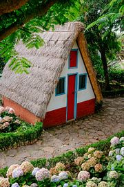 Madeira by Myrthe Vlasveld