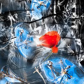 Abstractie van ijs en klaproos van Peter Venema