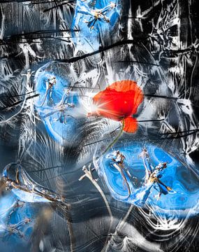Abstractie van ijs en klaproos van Peter Venema