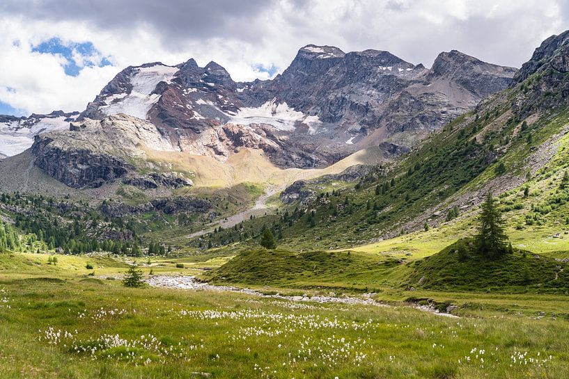 Wandelen in het Val Viola, tussen Bormio en Livigno van Martijn Joosse