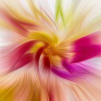 Celestial Spin