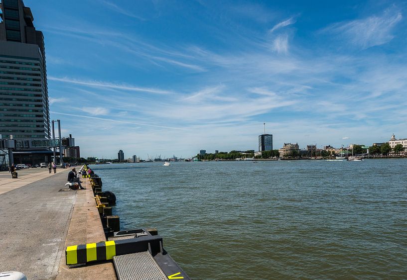 Rotterdam by Brian Morgan