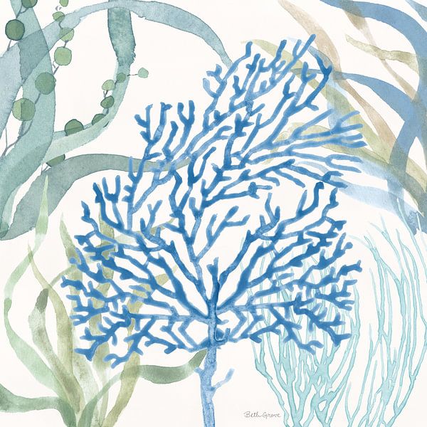 Weiche Küsten Vi., Beth Grove von Wild Apple