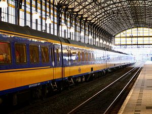 Zug am Bahnhof Hollands Spoor in Den Haag