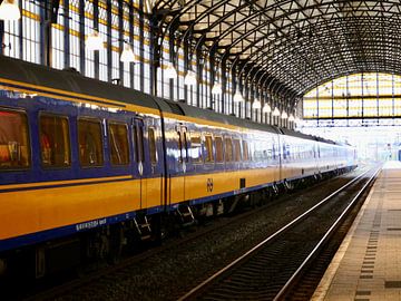 Trein op station Hollands Spoor Den Haag van Judith van Wijk