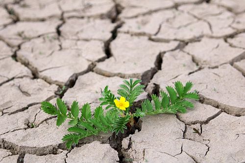 Der Glaube und die Hoffnung