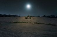 Italian Moonshine by Kirsten Scholten thumbnail