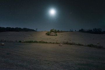 Italian Moonshine by Kirsten Scholten