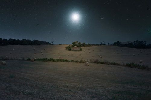 Italian Moonshine
