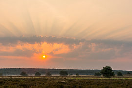 Zonsopkomst