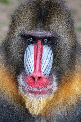 Are you talking to me?