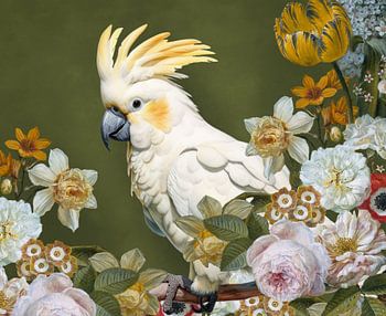 Still Life (with cockatoo)