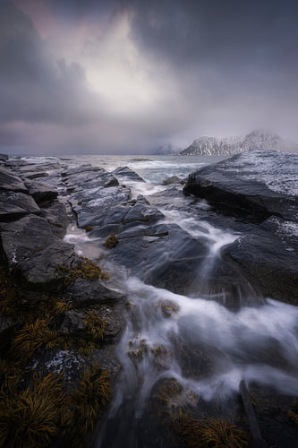 Ruige kust van de Lofoten