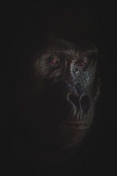 Gorilla portret lowkey van Nienke Bot