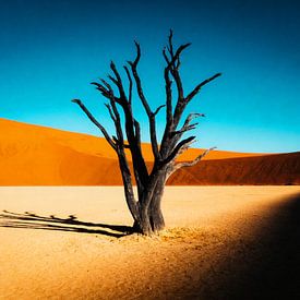 Arbre solitaire dans un désert doré sur But First Framing