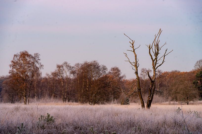 Landschape von Akos Terdik