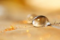 Gold Pearl