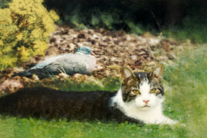 Let’s relax together in the garden