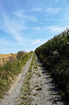 Weg naar de hemel van Tobias Van der ploeg