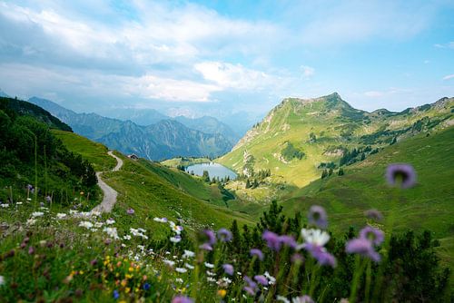 Bloemrijk uitzicht op de Seealpsee in de Allgäuer Alpen