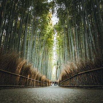 Het bamboebos van Arashiyama in Kyoto, Japan van Michael.Pixels