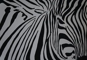 Zebra van Babetts Bildergalerie