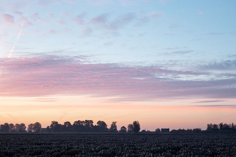 Ochtend in pastel. van Ulbe Spaans