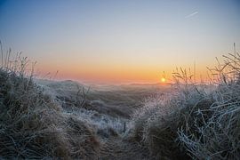 Sunrise at the Wisenten path in the dunes of Zandvoort by Tessa van Duin