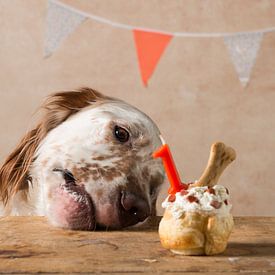 Hey gâteau d'anniversaire! sur Carol Thoelen