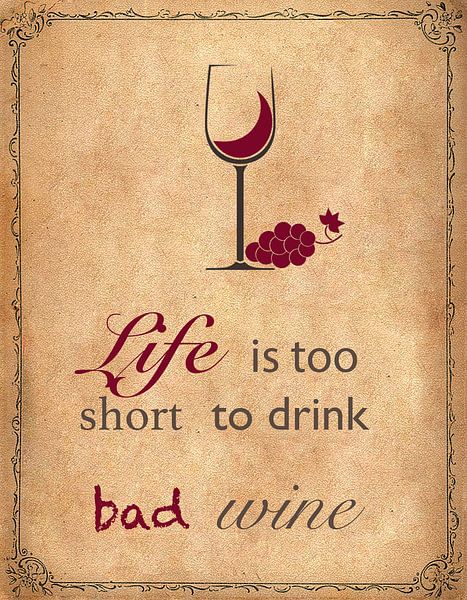 Life is too short to drink bad wine van Marieke de Koning