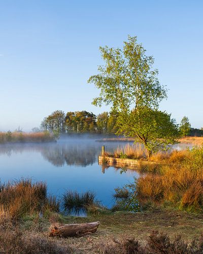 Sunrise at Smitsveen, Dwingelderveld, Drenthe by Henk Meijer Photography