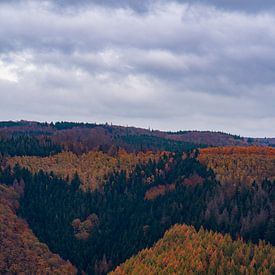 Herfst in de Eifel van Wytze Kiers