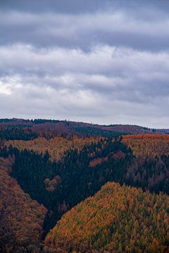 Autumn in the Eifel by Wytze Kiers