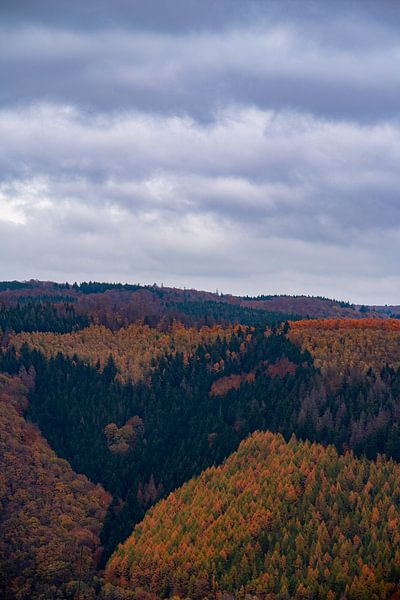 Herfst in de Eifel van Wytze Kiers
