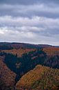 Autumn in the Eifel by Wytze Kiers thumbnail