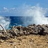 Curacao, de Wilde kust van Boca Tabla van Discover Dutch Nature
