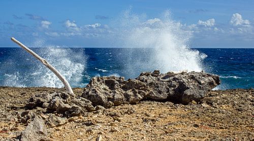 Curacao, de Wilde kust van Boca Tabla