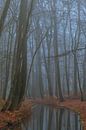 Reflections by Moetwil en van Dijk - Fotografie thumbnail
