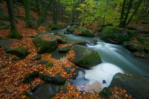 Höllbach beek in het Höllbachtal Duitsland