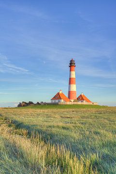 Leuchtturm Westerheversand in der Abendsonne