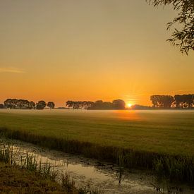 Zonsopkomst weilanden van Sandra de Vries-Köhler