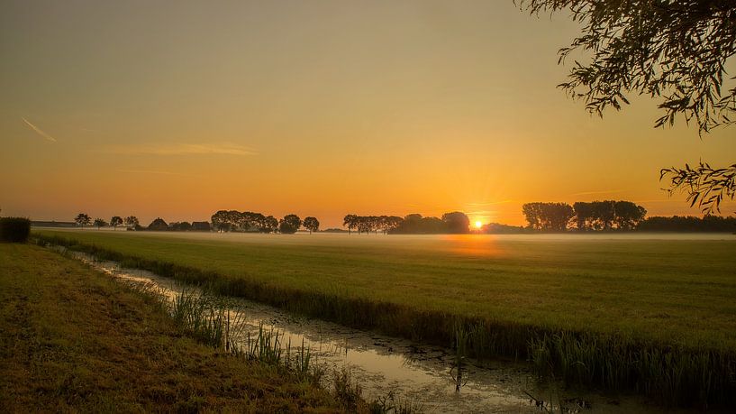 Sunrise meadows by Sandra de Vries-Köhler