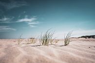 Grasland van enroute thumbnail