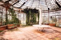 Abandoned conservatory. by Roman Robroek - Photos of Abandoned Buildings thumbnail